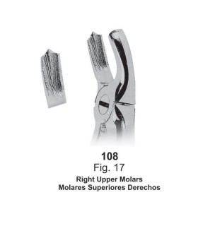 Forceps de Extaccion Molar superior derecho fig.17