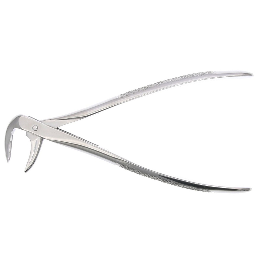 Fórceps para Raíces Anteriores Inferiores