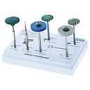 Kit pulido Di-Silicato y Zirconio