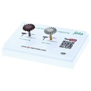 Kit Pulido del composite